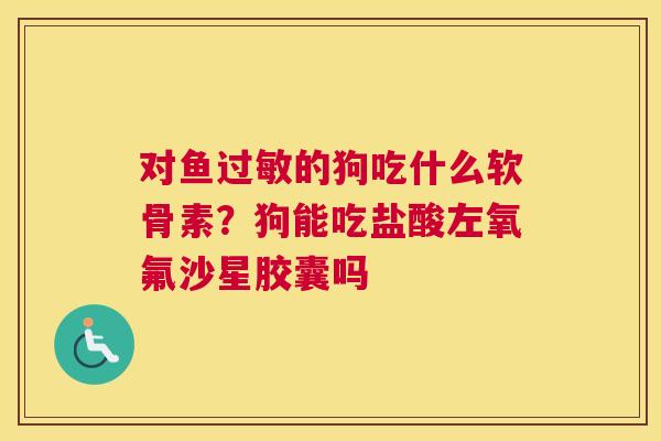 对鱼过敏的狗吃什么软骨素？狗能吃盐酸左氧氟沙星胶囊吗