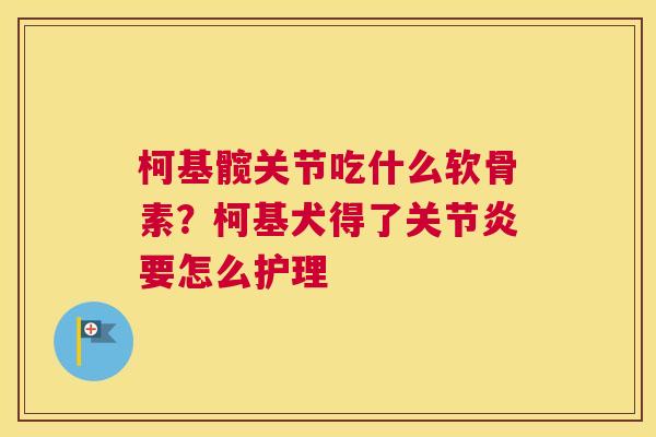 柯基髋关节吃什么软骨素?柯基犬得了要怎么护理 柯基髋关节吃什么软骨素?柯基犬得了要怎么护理