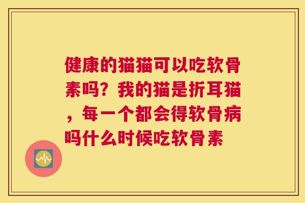 健康的猫猫可以吃软骨素吗？我的猫是折耳猫，每一个都会得软骨病吗什么时候吃软骨素