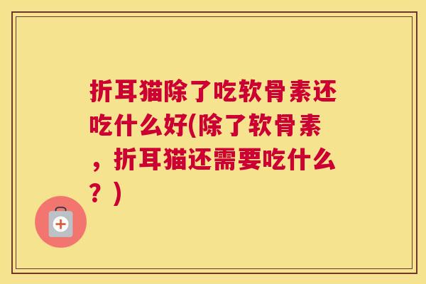 折耳猫除了吃软骨素还吃什么好(除了软骨素，折耳猫还需要吃什么？)