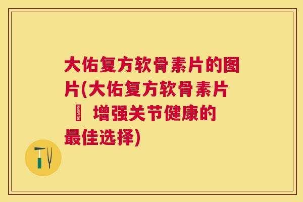 大佑复方软骨素片的图片(大佑复方软骨素片 – 增强关节健康的最佳选择)