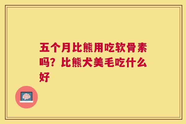 五个月比熊用吃软骨素吗？比熊犬美毛吃什么好