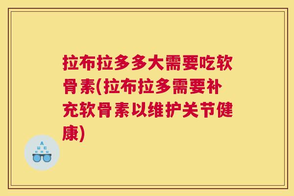 拉布拉多多大需要吃软骨素(拉布拉多需要补充软骨素以维护关节健康)