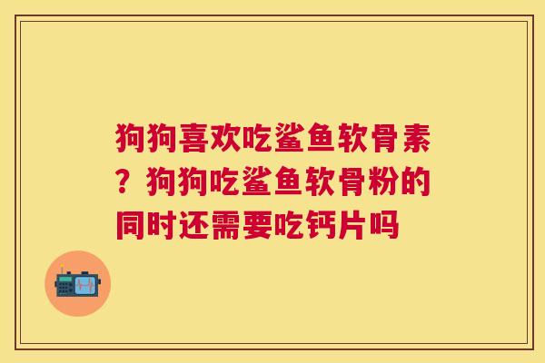 狗狗喜欢吃鲨鱼软骨素？狗狗吃鲨鱼软骨粉的同时还需要吃钙片吗