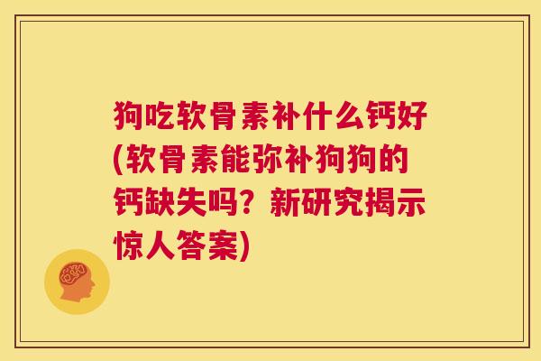 狗吃软骨素补什么钙好(软骨素能弥补狗狗的钙缺失吗？新研究揭示惊人答案)