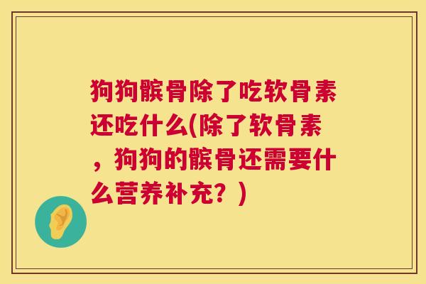 狗狗髌骨除了吃软骨素还吃什么(除了软骨素，狗狗的髌骨还需要什么营养补充？)