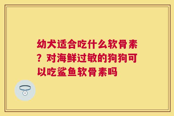 幼犬适合吃什么软骨素？对海鲜过敏的狗狗可以吃鲨鱼软骨素吗