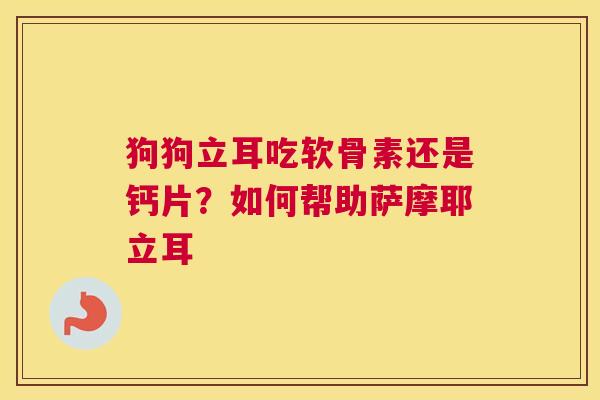 狗狗立耳吃软骨素还是钙片？如何帮助萨摩耶立耳