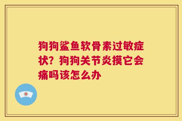 狗狗鲨鱼软骨素过敏症状？狗狗关节炎摸它会痛吗该怎么办