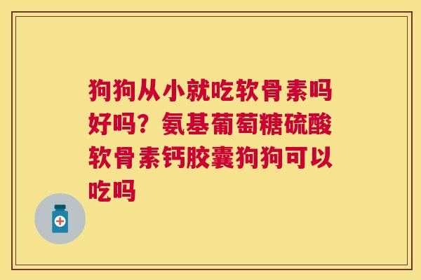 狗狗从小就吃软骨素吗好吗？氨基葡萄糖硫酸软骨素钙胶囊狗狗可以吃吗