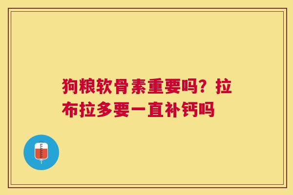 狗粮软骨素重要吗？拉布拉多要一直补钙吗