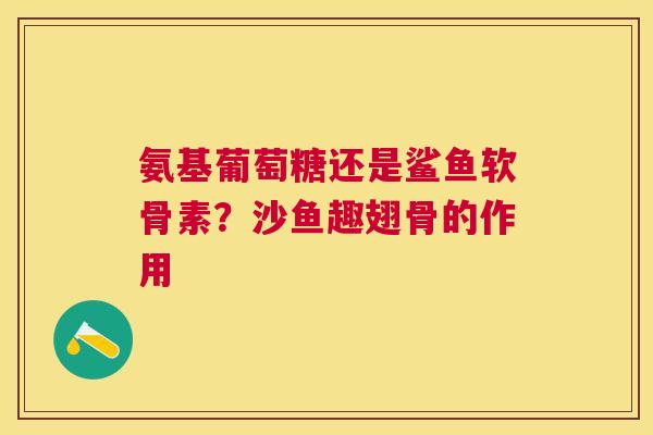 氨基葡萄糖还是鲨鱼软骨素？沙鱼趣翅骨的作用