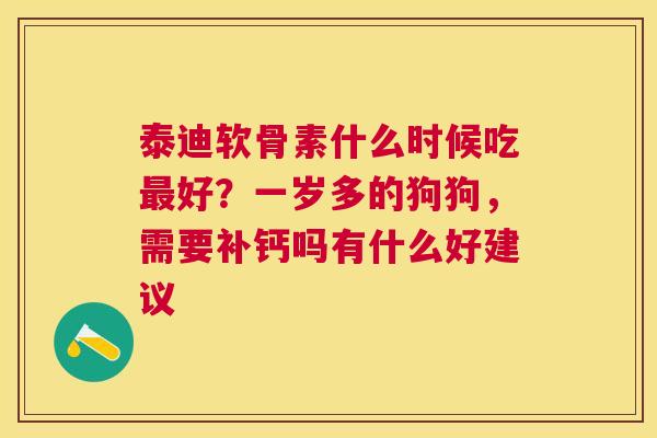 泰迪软骨素什么时候吃好？一岁多的狗狗，需要补钙吗有什么好建议