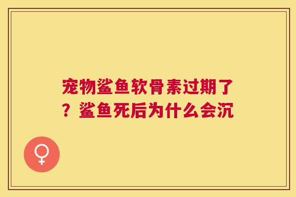 宠物鲨鱼软骨素过期了？鲨鱼死后为什么会沉