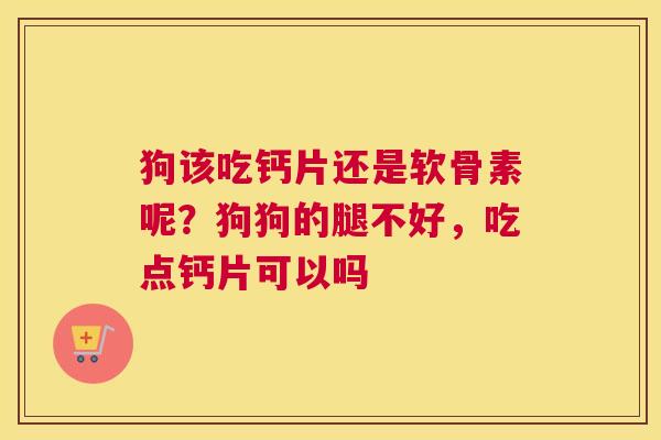 狗该吃钙片还是软骨素呢？狗狗的腿不好，吃点钙片可以吗