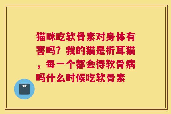 猫咪吃软骨素对身体有害吗？我的猫是折耳猫，每一个都会得软骨病吗什么时候吃软骨素