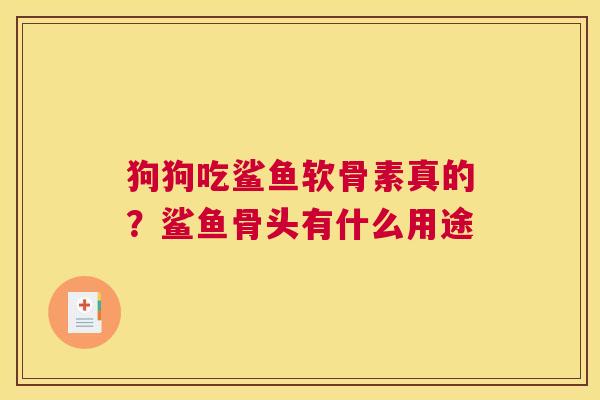 狗狗吃鲨鱼软骨素真的？鲨鱼骨头有什么用途