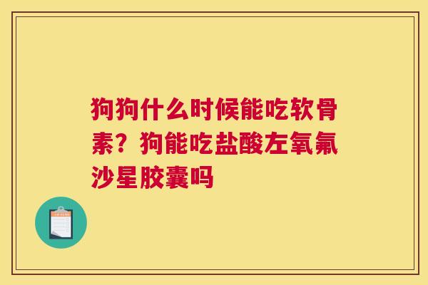 狗狗什么时候能吃软骨素？狗能吃盐酸左氧氟沙星胶囊吗