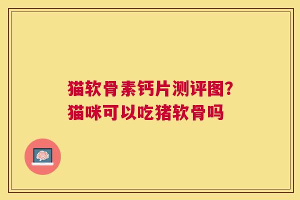 猫软骨素钙片测评图？猫咪可以吃猪软骨吗