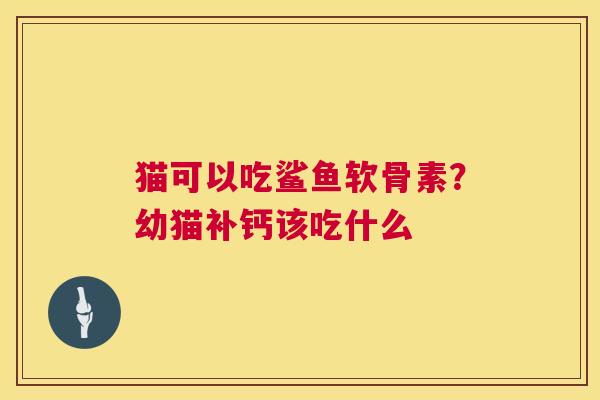 猫可以吃鲨鱼软骨素？幼猫补钙该吃什么