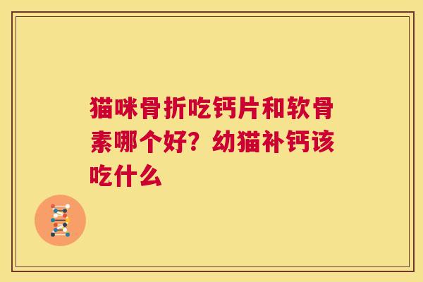 猫咪骨折吃钙片和软骨素哪个好？幼猫补钙该吃什么