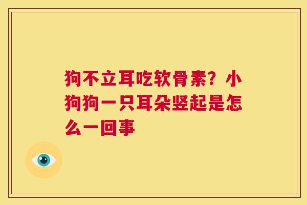 狗不立耳吃软骨素？小狗狗一只耳朵竖起是怎么一回事