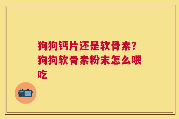 狗狗钙片还是软骨素？狗狗软骨素粉末怎么喂吃