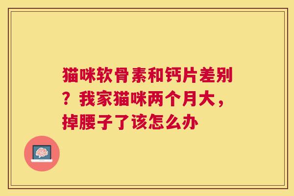 猫咪软骨素和钙片差别？我家猫咪两个月大，掉腰子了该怎么办