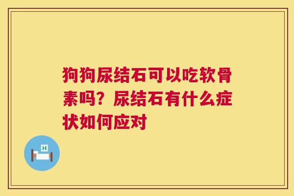 狗狗尿结石可以吃软骨素吗？尿结石有什么症状如何应对