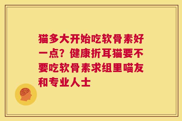 猫多大开始吃软骨素好一点?健康折耳猫要不要吃软骨素求组里喵友和专业人士 猫多大开始吃软骨素好一点?健康折耳猫要不要吃软骨素求组里喵友和专业人士