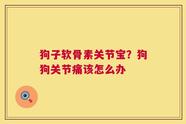 狗子软骨素关节宝？狗狗关节痛该怎么办