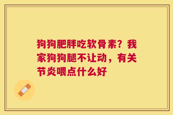 狗狗肥胖吃软骨素？我家狗狗腿不让动，有关节炎喂点什么好