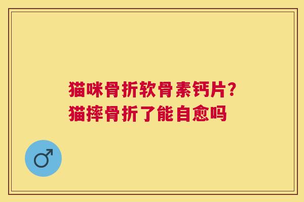 猫咪骨折软骨素钙片？猫摔骨折了能自愈吗