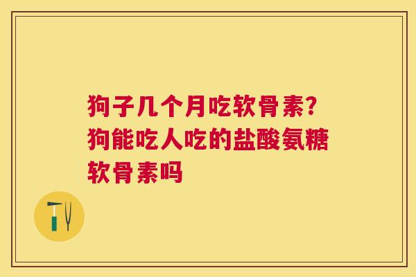 狗子几个月吃软骨素？狗能吃人吃的盐酸氨糖软骨素吗
