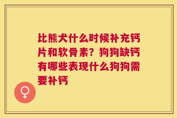 比熊犬什么时候补充钙片和软骨素？狗狗缺钙有哪些表现什么狗狗需要补钙