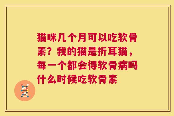 猫咪几个月可以吃软骨素?我的猫是折耳猫,每一个都会得软骨吗什么时候吃软骨素 猫咪几个月可以吃软骨素?我的猫是折耳猫,每一个都会得软骨吗什么时候吃软骨素