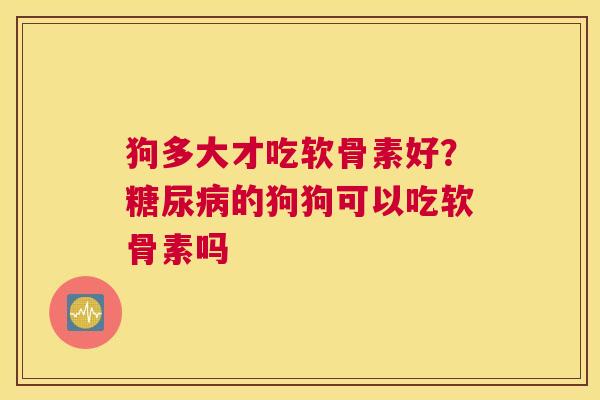 狗多大才吃软骨素好？糖尿病的狗狗可以吃软骨素吗