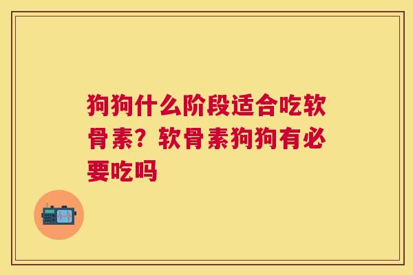 狗狗什么阶段适合吃软骨素？软骨素狗狗有必要吃吗