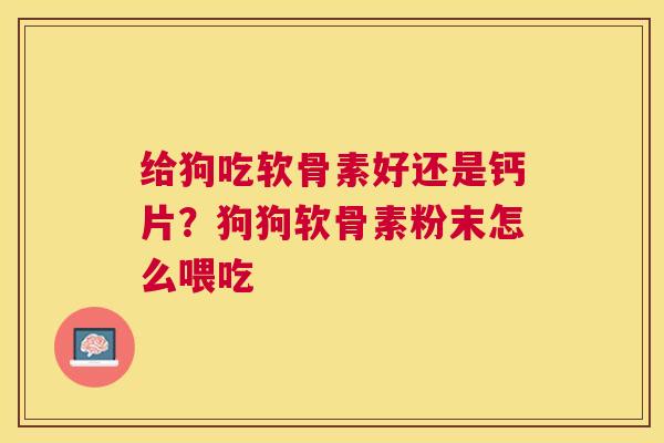 给狗吃软骨素好还是钙片？狗狗软骨素粉末怎么喂吃