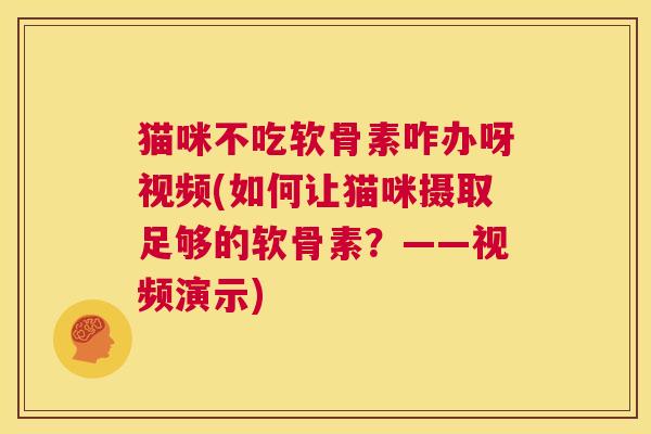 猫咪不吃软骨素咋办呀视频(如何让猫咪摄取足够的软骨素？——视频演示)
