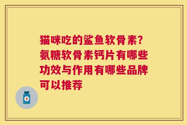 猫咪吃的鲨鱼软骨素？氨糖软骨素钙片有哪些功效与作用有哪些品牌可以推荐