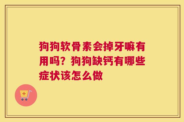 狗狗软骨素会掉牙嘛有用吗？狗狗缺钙有哪些症状该怎么做