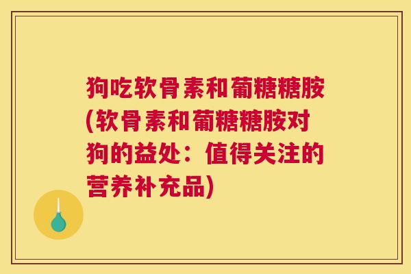 狗吃软骨素和葡糖糖胺(软骨素和葡糖糖胺对狗的益处：值得关注的营养补充品)