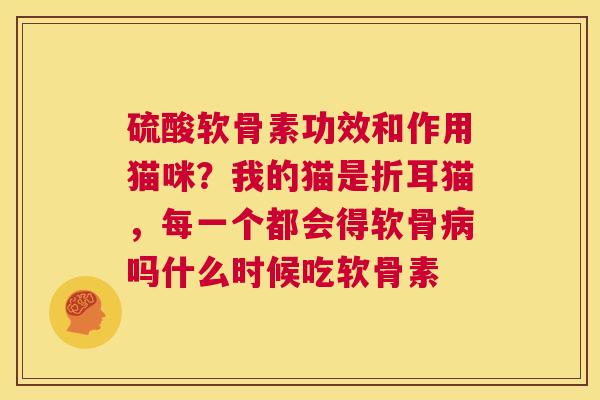 硫酸软骨素功效和作用猫咪？我的猫是折耳猫，每一个都会得软骨病吗什么时候吃软骨素