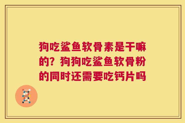 狗吃鲨鱼软骨素是干嘛的？狗狗吃鲨鱼软骨粉的同时还需要吃钙片吗