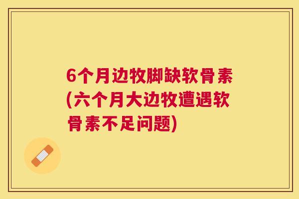 6个月边牧脚缺软骨素(六个月大边牧遭遇软骨素不足问题)