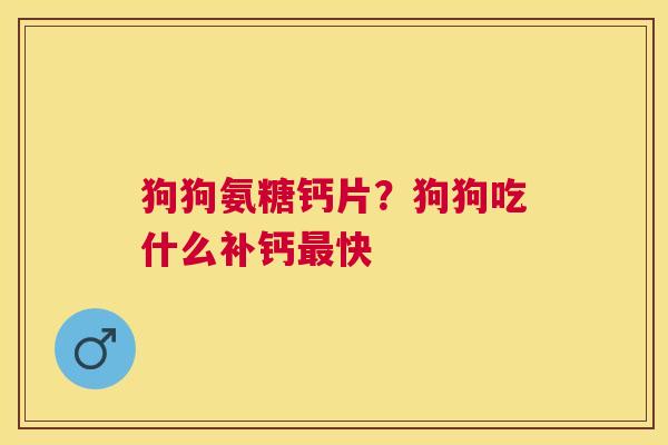 狗狗氨糖钙片？狗狗吃什么补钙快