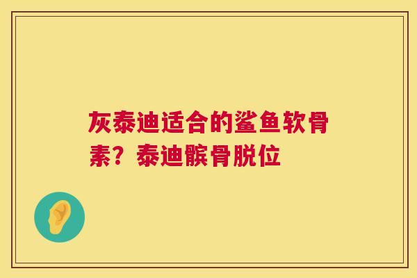 灰泰迪适合的鲨鱼软骨素？泰迪髌骨脱位