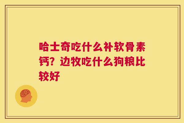 哈士奇吃什么补软骨素钙？边牧吃什么狗粮比较好