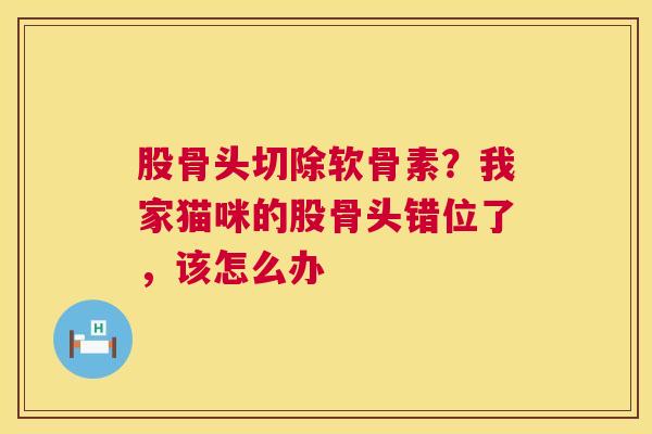 股骨头切除软骨素？我家猫咪的股骨头错位了，该怎么办
